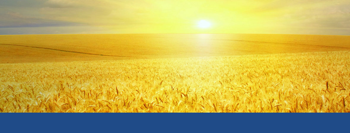 Agriculture